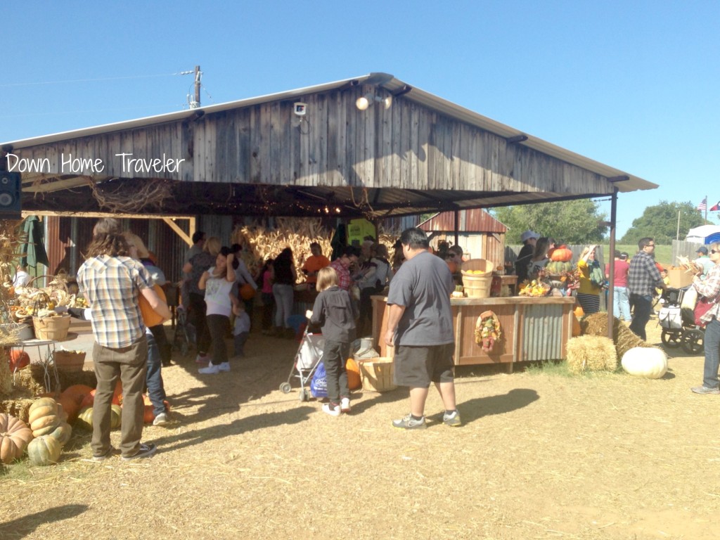 Hall's Pumpkin Farm and Corn Maze 2013