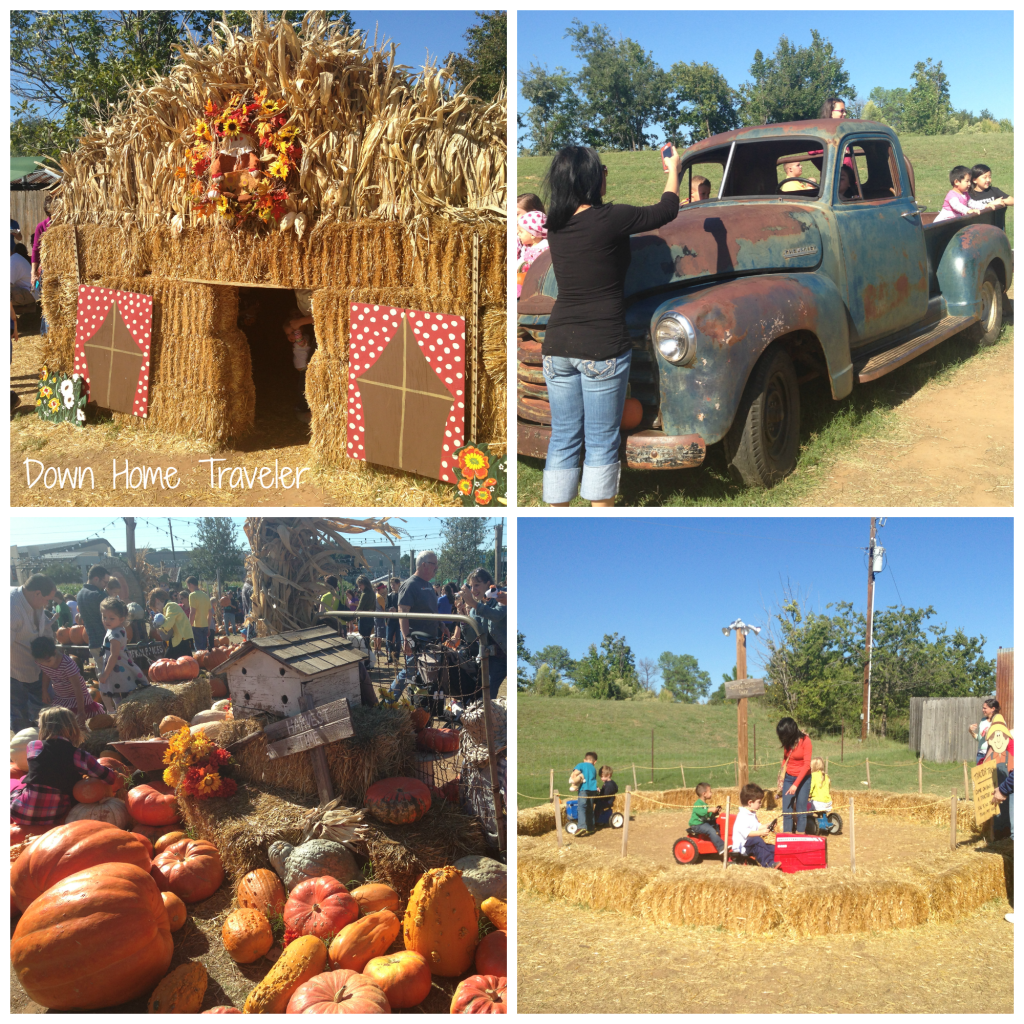 Hall's Pumpkin Patch 2013