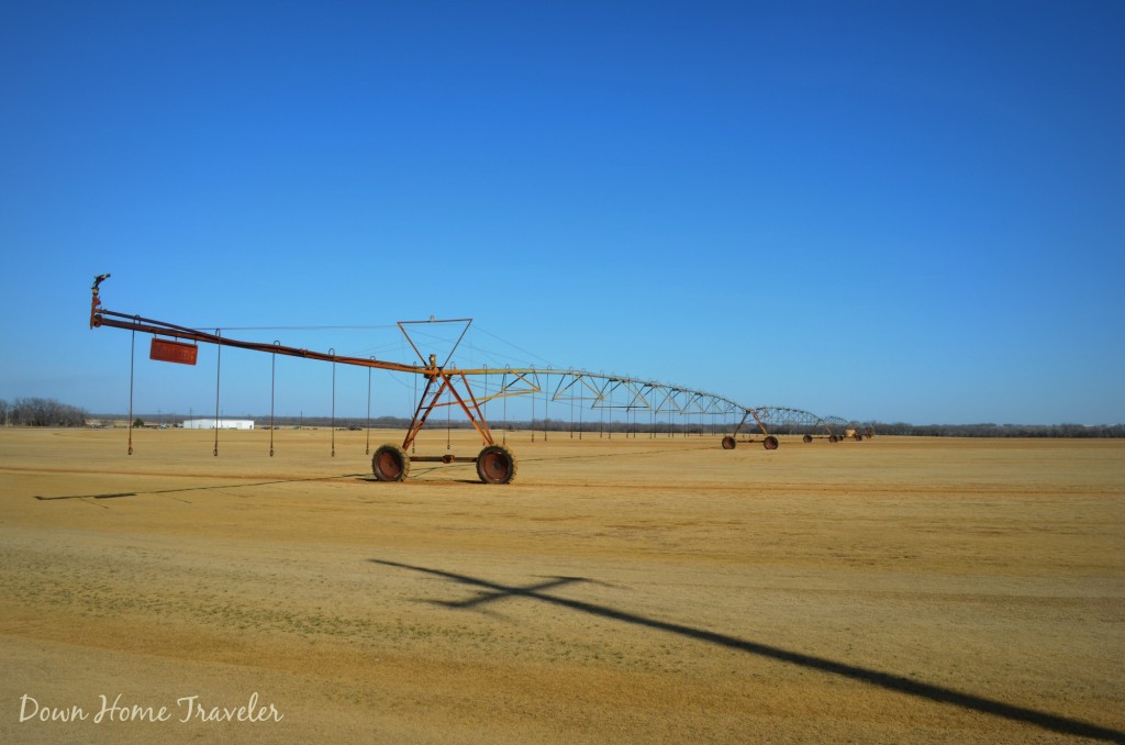 Wide Open Spaces I 058