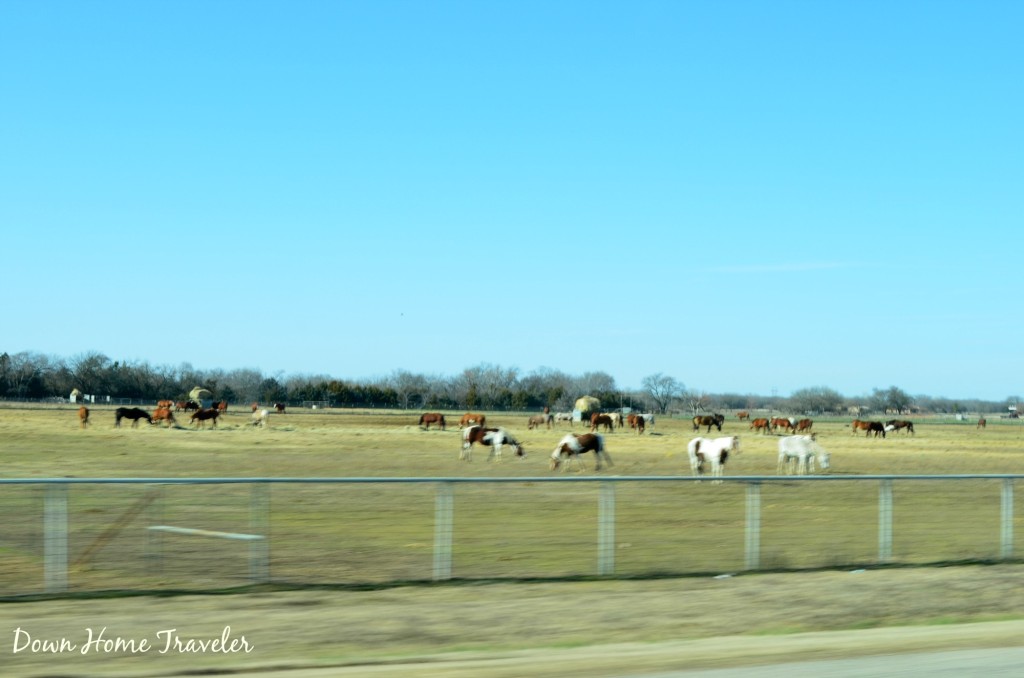 Wide Open Spaces I 060