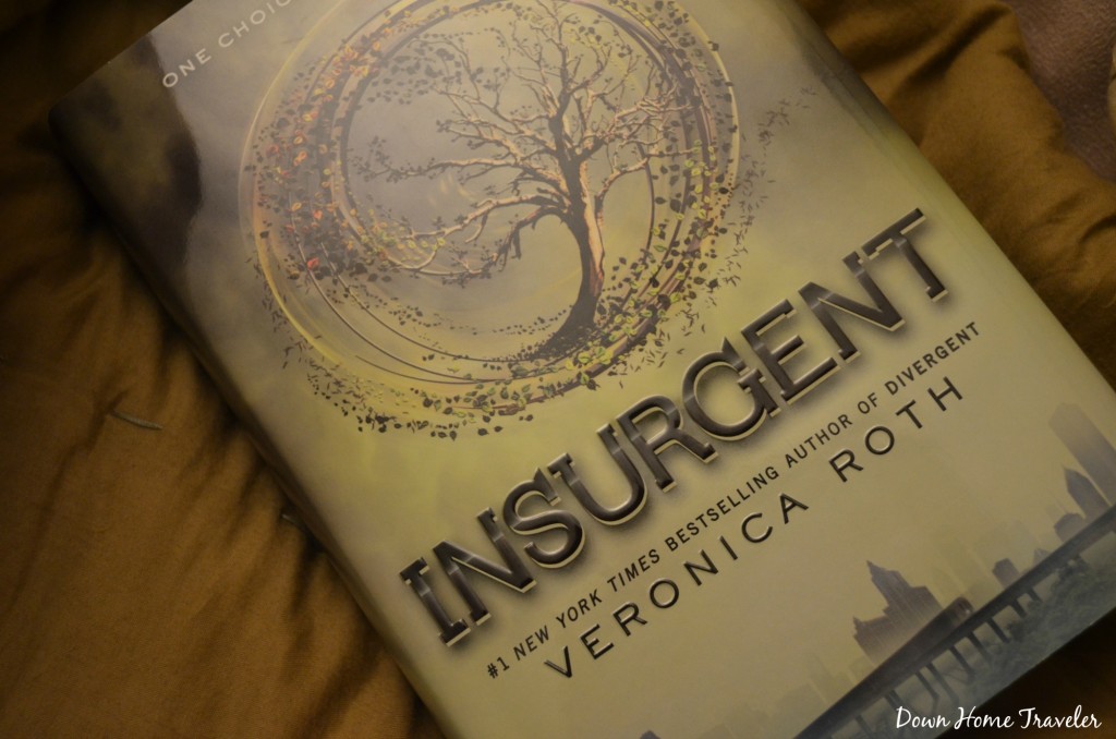 Catch the Moment 365, Books, Insurgent