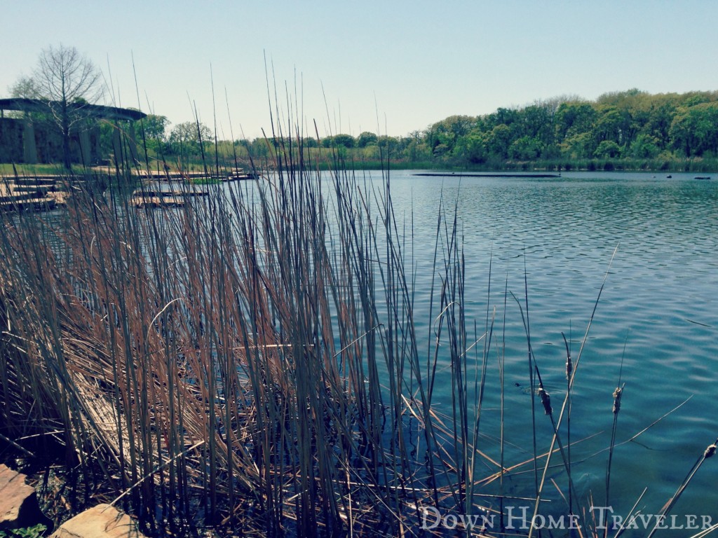 Catch The Moment 365, Westlake, Texas, Lake, Nature