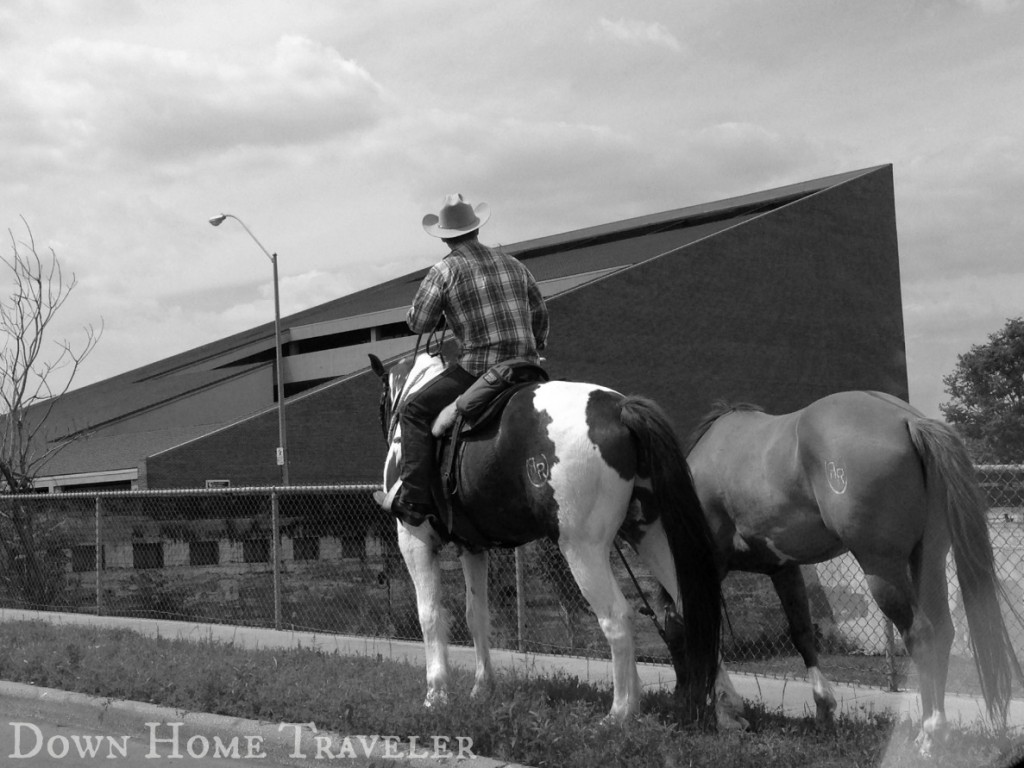 Catch The Moment 365, Fort Worth, Texas, Cowboy, Horse