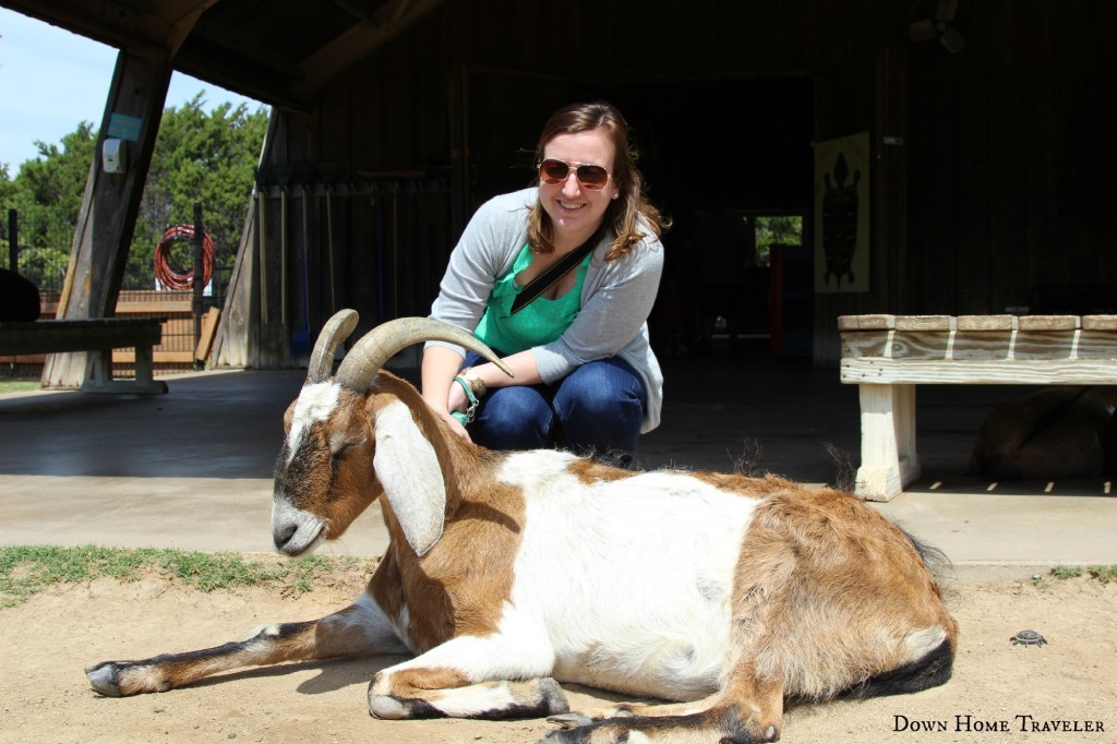 Texas, Family, Day Trip, Animals, Zoo