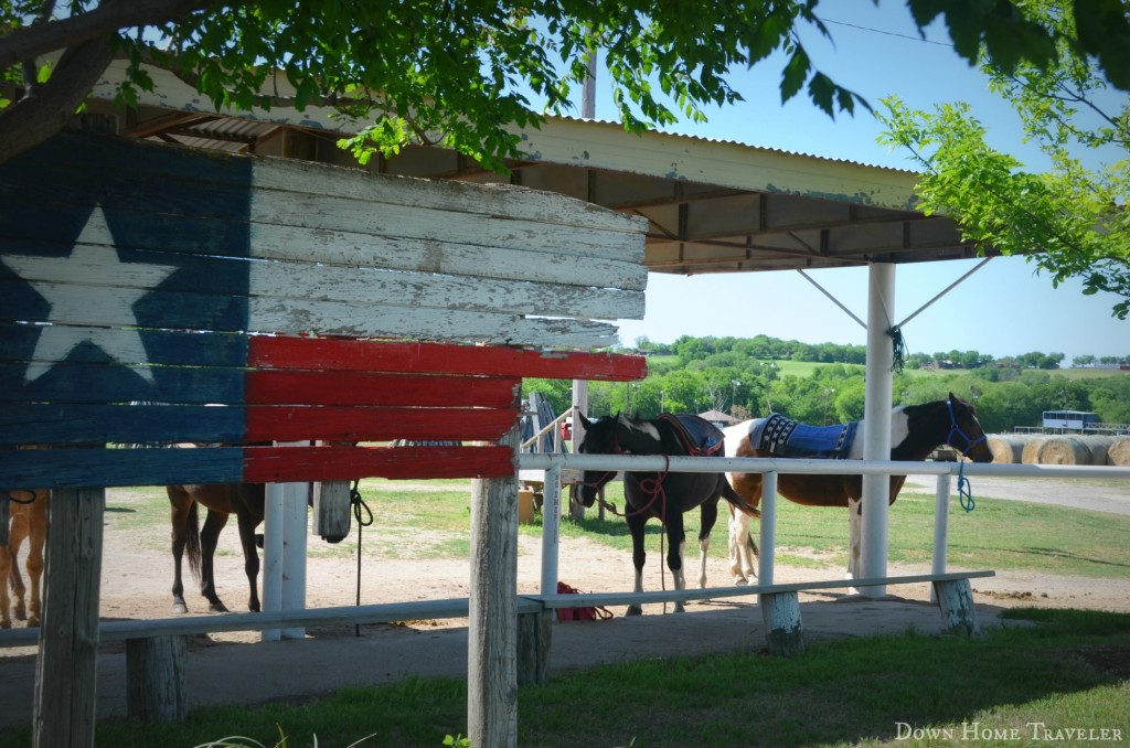 DFW-Bucket-List, Horseback-Riding, Texas, Horses,Outdoor-Activities, Stables