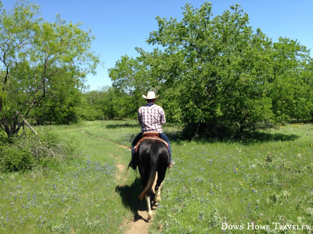 DFW-Bucket-List, Horseback-Riding, Texas, Horses,Outdoor-Activities, Stables