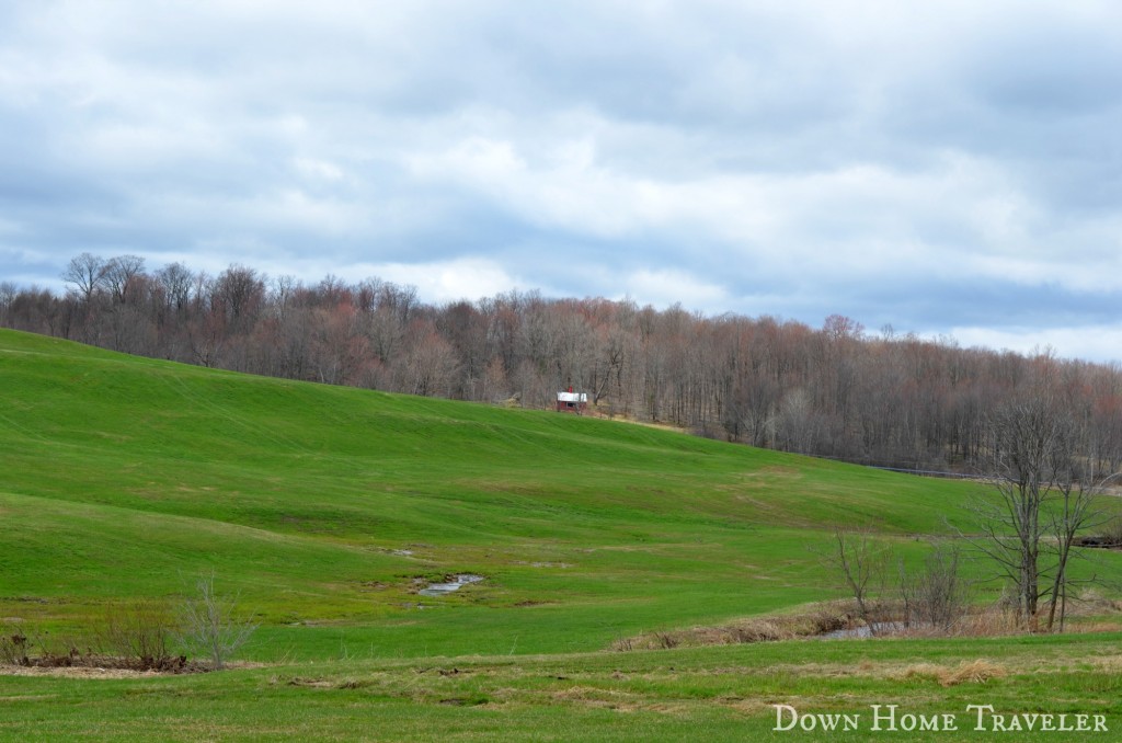 Catch-The-Moment-365, Photography, Photo-A-Day, Vermont