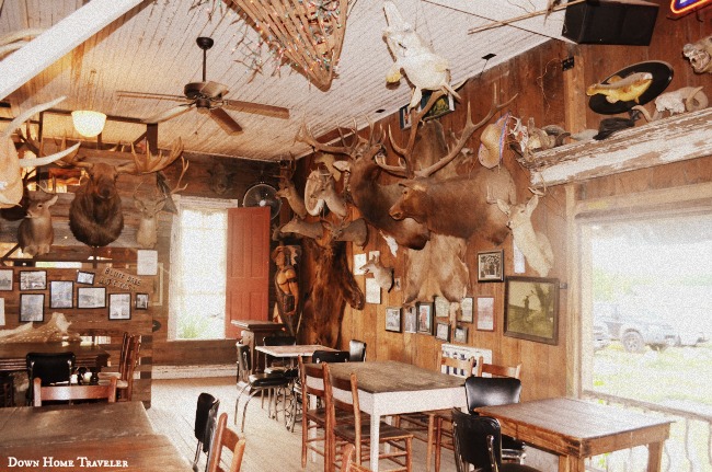 Dancehall, Texas, Historic Places, Bar, Bluff-Dale, Small-Texas-Towns, Taxidermy