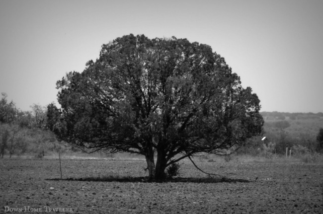 Highway 180, Texas, Texas Drive