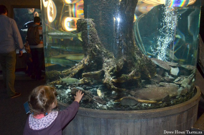 Burlington, Vermont, Aquarium, Science Center, Children, Lake Champlain