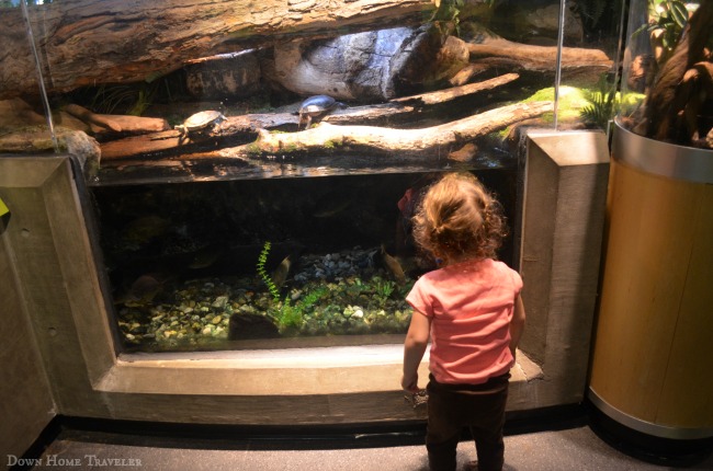 Burlington, Vermont, Aquarium, Science Center, Children, Lake Champlain