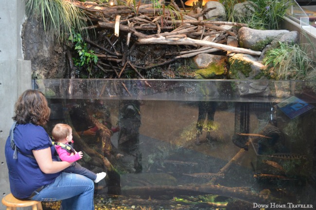 Burlington, Vermont, Aquarium, Science Center, Children, Lake Champlain