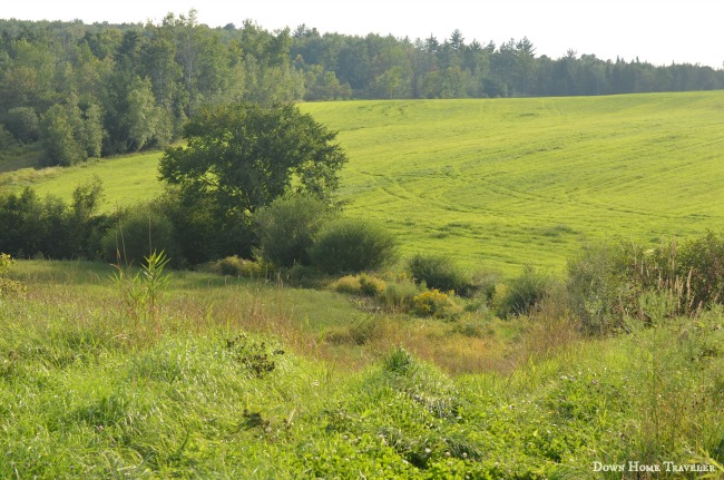 Vermont, Franklin County, Garden