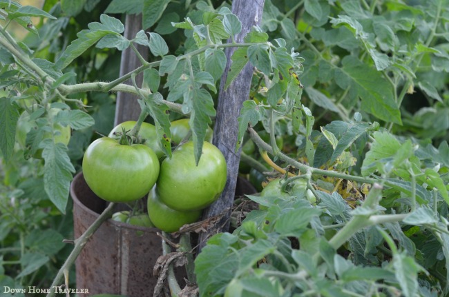 Vermont, Franklin County, Garden