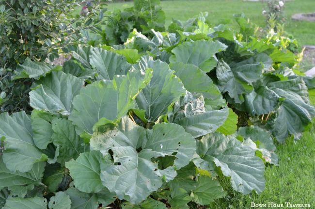 Vermont, Franklin County, Garden