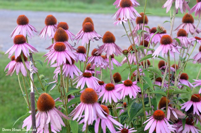 Vermont, Franklin County, Garden