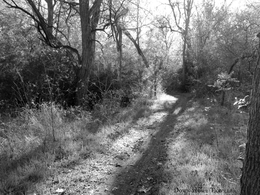 River Legacy, Arlington, Texas, DFW Hiking, DFW Parks