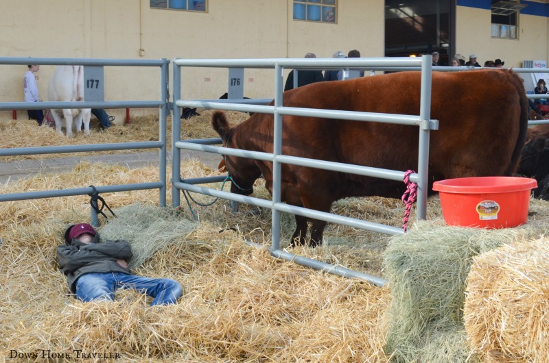 FWSSR 0187