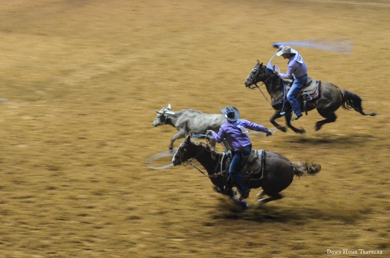 VisitFortWorth, SeeFortWorth, Family Travel, Fort Worth Texas, Rodeo, Stockshow, Texas Tradition