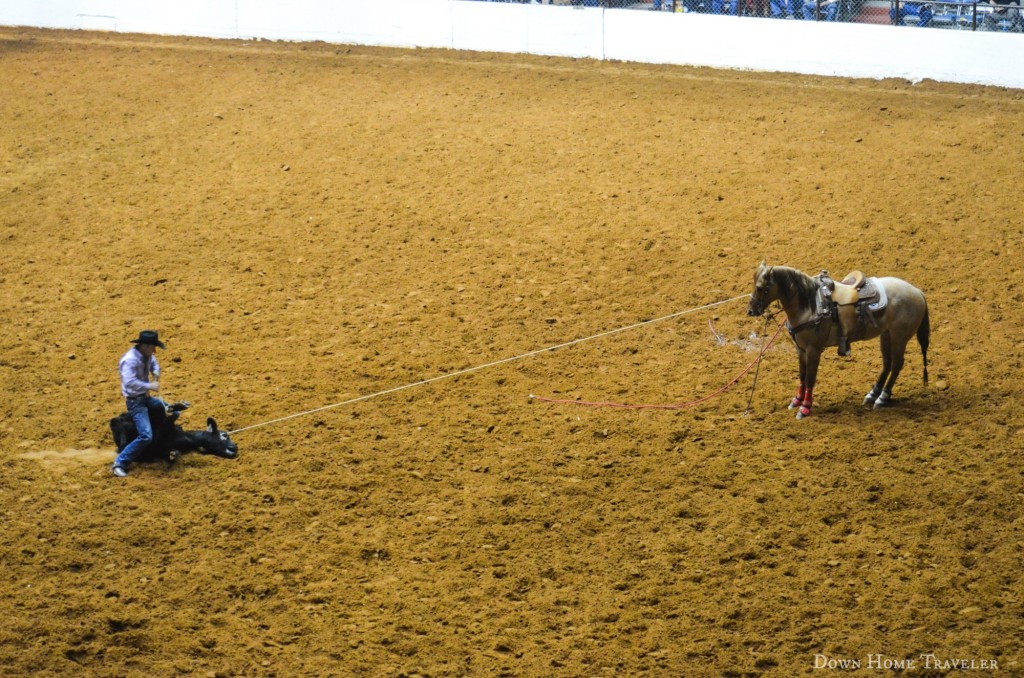 VisitFortWorth, SeeFortWorth, Family Travel, Fort Worth Texas, Rodeo, Stockshow, Texas Tradition