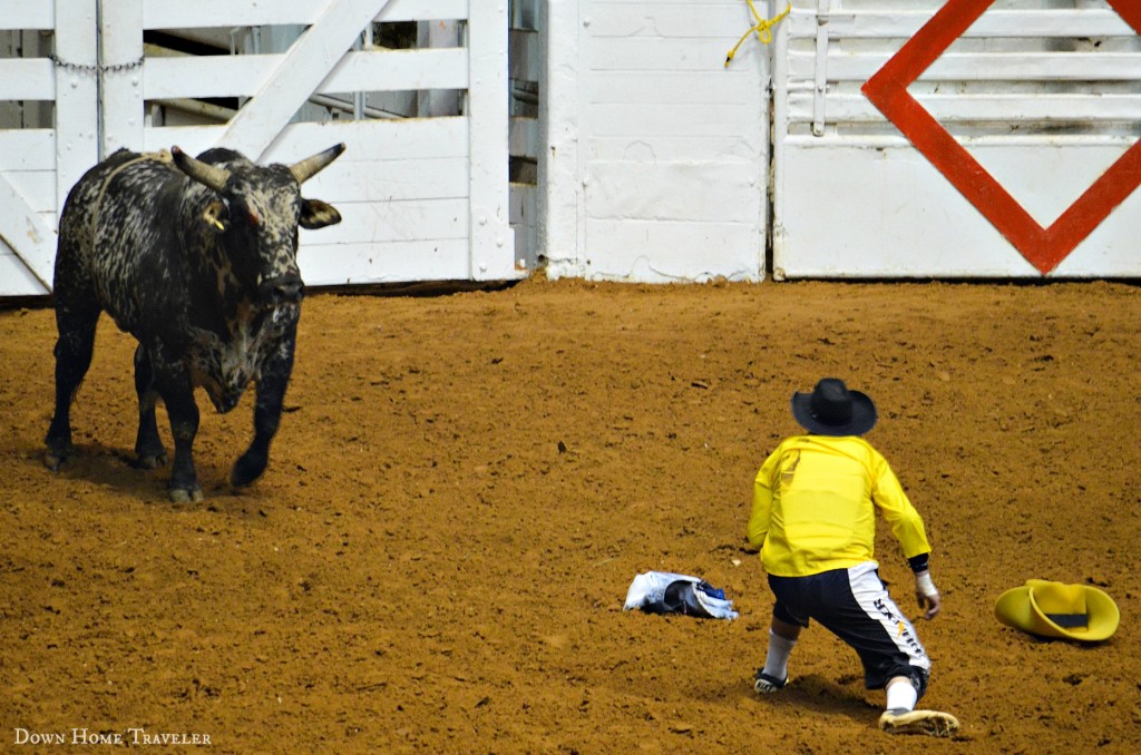 VisitFortWorth, SeeFortWorth, Family Travel, Fort Worth Texas, Rodeo, Stockshow, Texas Tradition