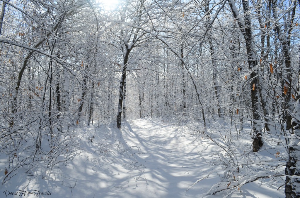 Vermont, Hike, Winter, Snow, Forest, Snow Covered Trees, Richford Vermont, Green Mountains