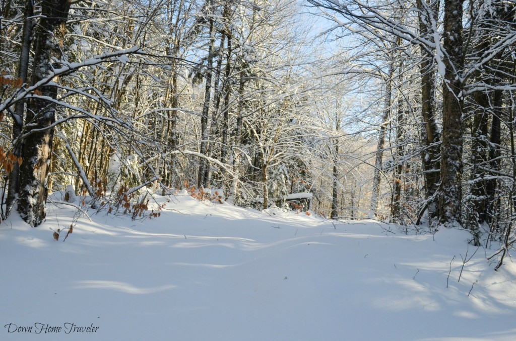 Vermont, Hike, Winter, Snow, Forest, Snow Covered Trees, Richford Vermont, Green Mountains