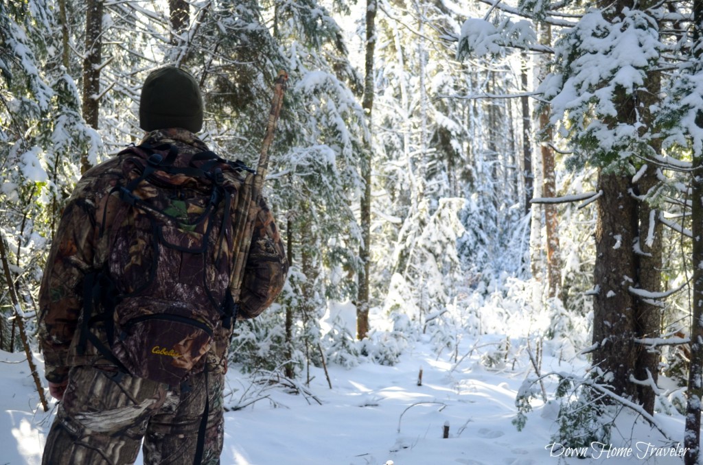 Vermont, Hike, Winter, Snow, Forest, Snow Covered Trees, Richford Vermont, Green Mountains