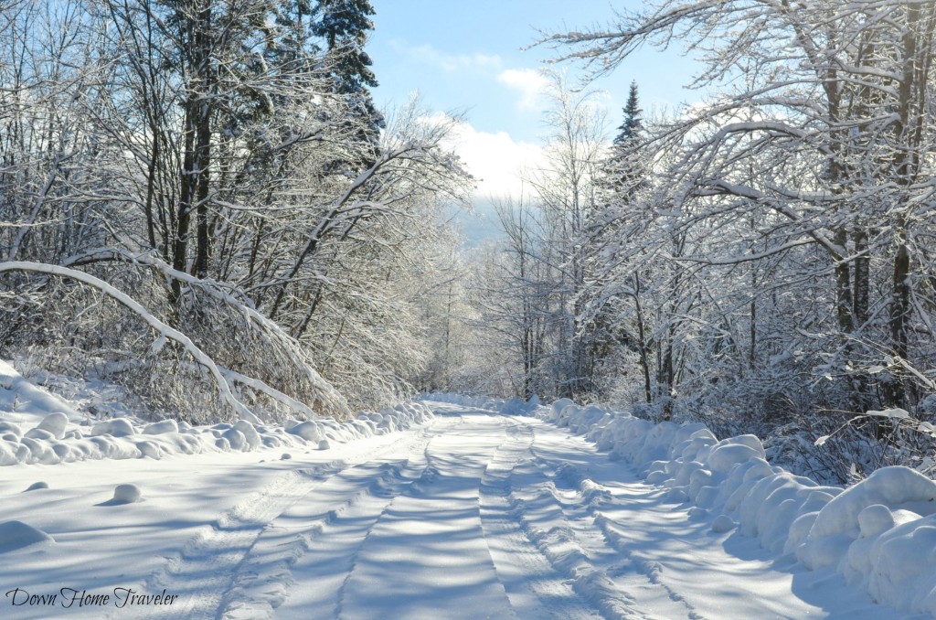 Vermont, Hike, Winter, Snow, Forest, Snow Covered Trees, Richford Vermont, Green Mountains