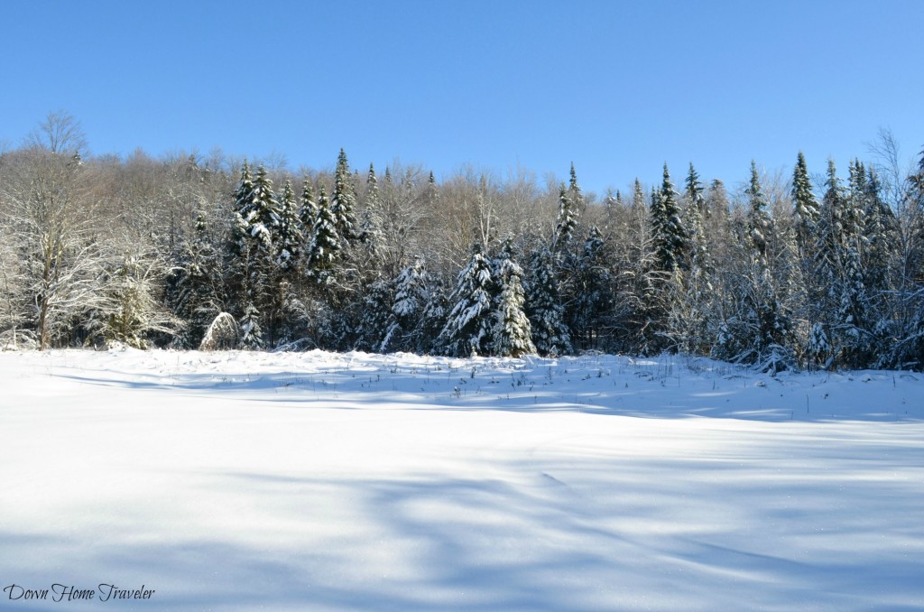 Vermont, Hike, Winter, Snow, Forest, Snow Covered Trees, Eden Vermont