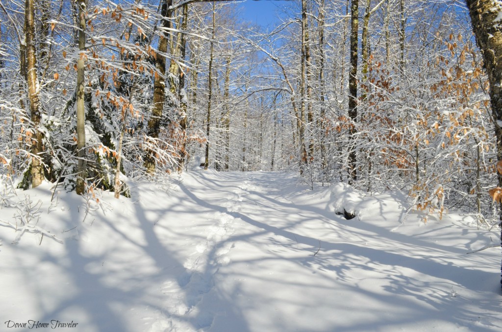 Vermont, Snow, Winter Hike,