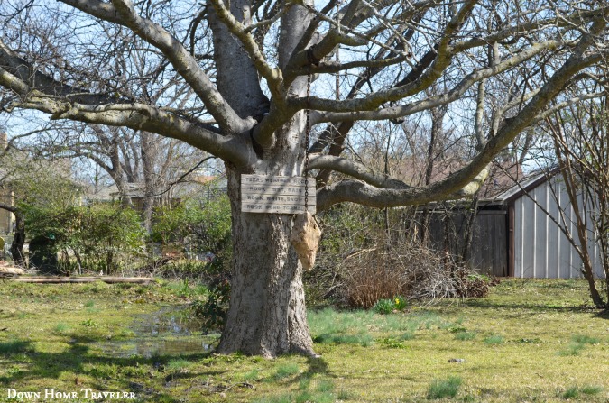 Honey Grove, Texas, Small Texas Town, Small Town North Texas, Davy Crockett, Abandoned Buildings, Texas Weather Rock