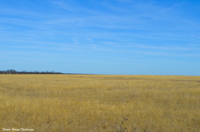 Texas Historical Landmark, Native Prairie Grassland, M.L. Smiley, Texas, Texas Agriculture, Hwy 82