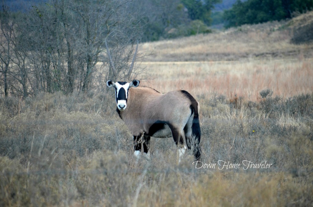 The-Ranch_1963a