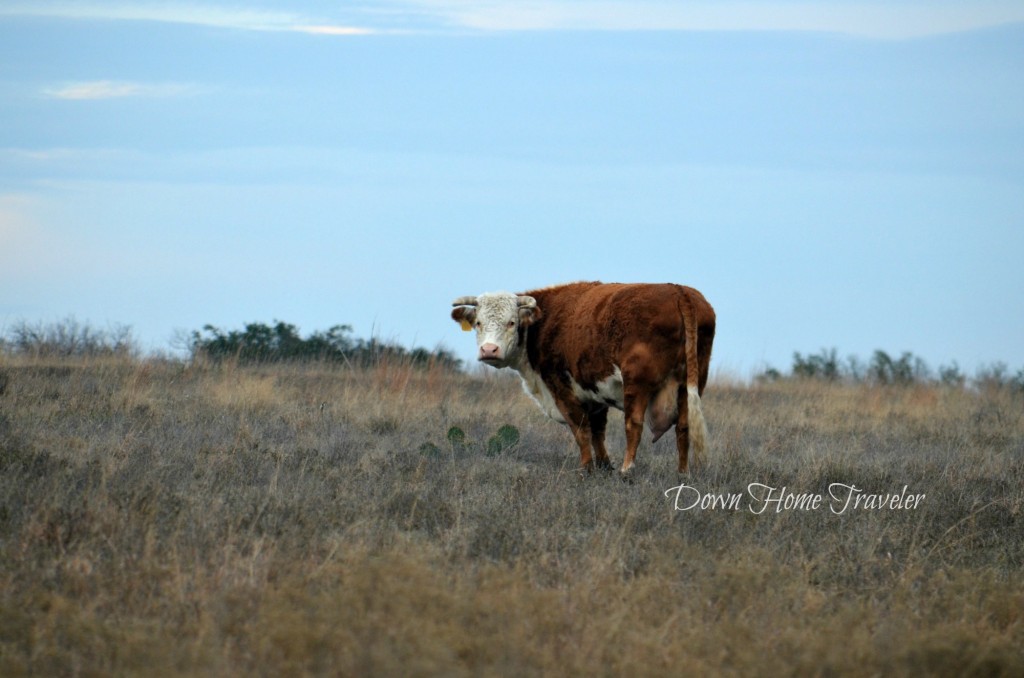 The-Ranch_1967a