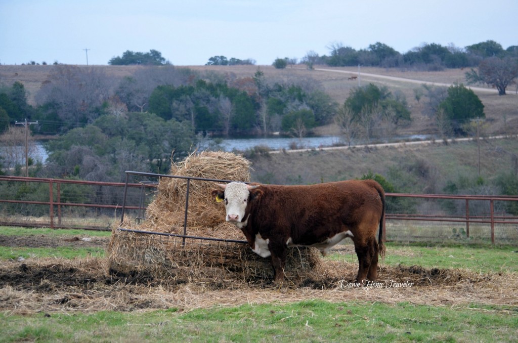 The-Ranch_1974a