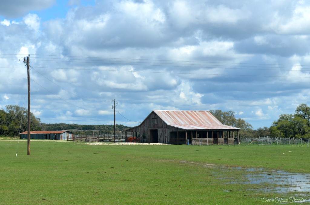 Dripping Springs TX_0563